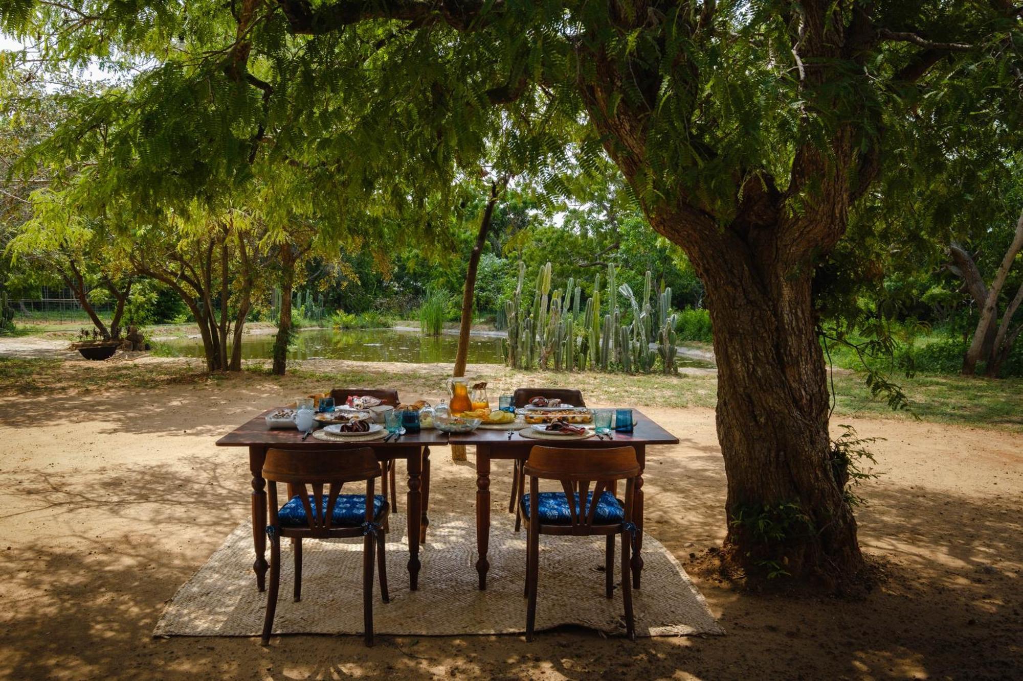 Treasure Rock Bed and Breakfast Kirinda  Εξωτερικό φωτογραφία