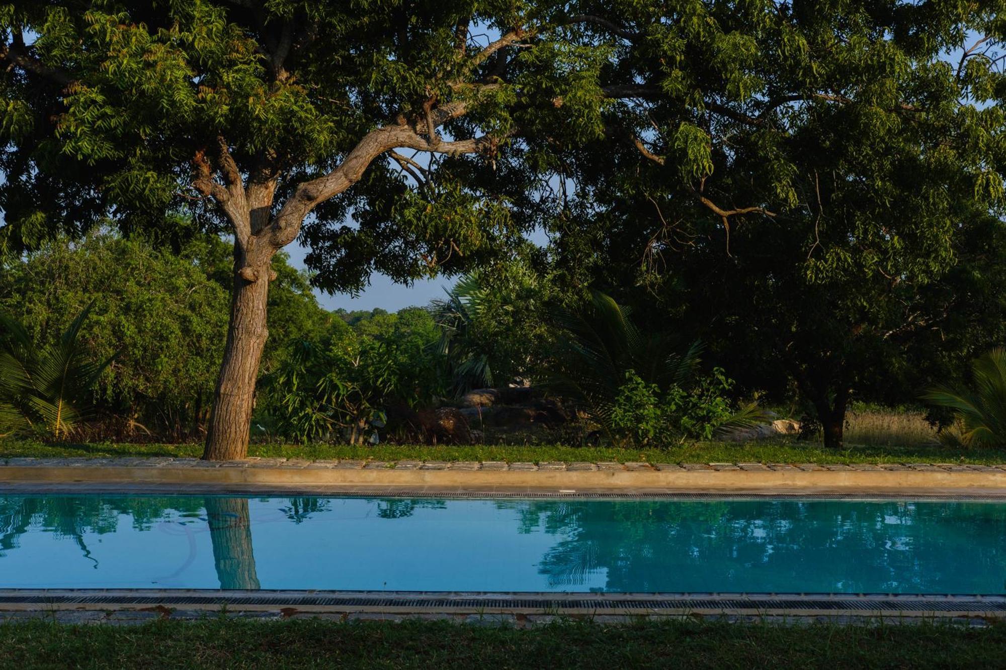 Treasure Rock Bed and Breakfast Kirinda  Εξωτερικό φωτογραφία