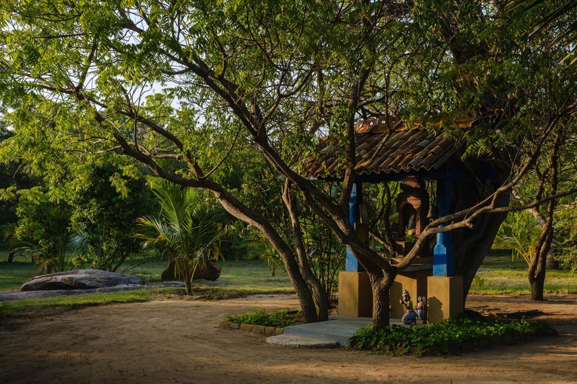 Treasure Rock Bed and Breakfast Kirinda  Εξωτερικό φωτογραφία
